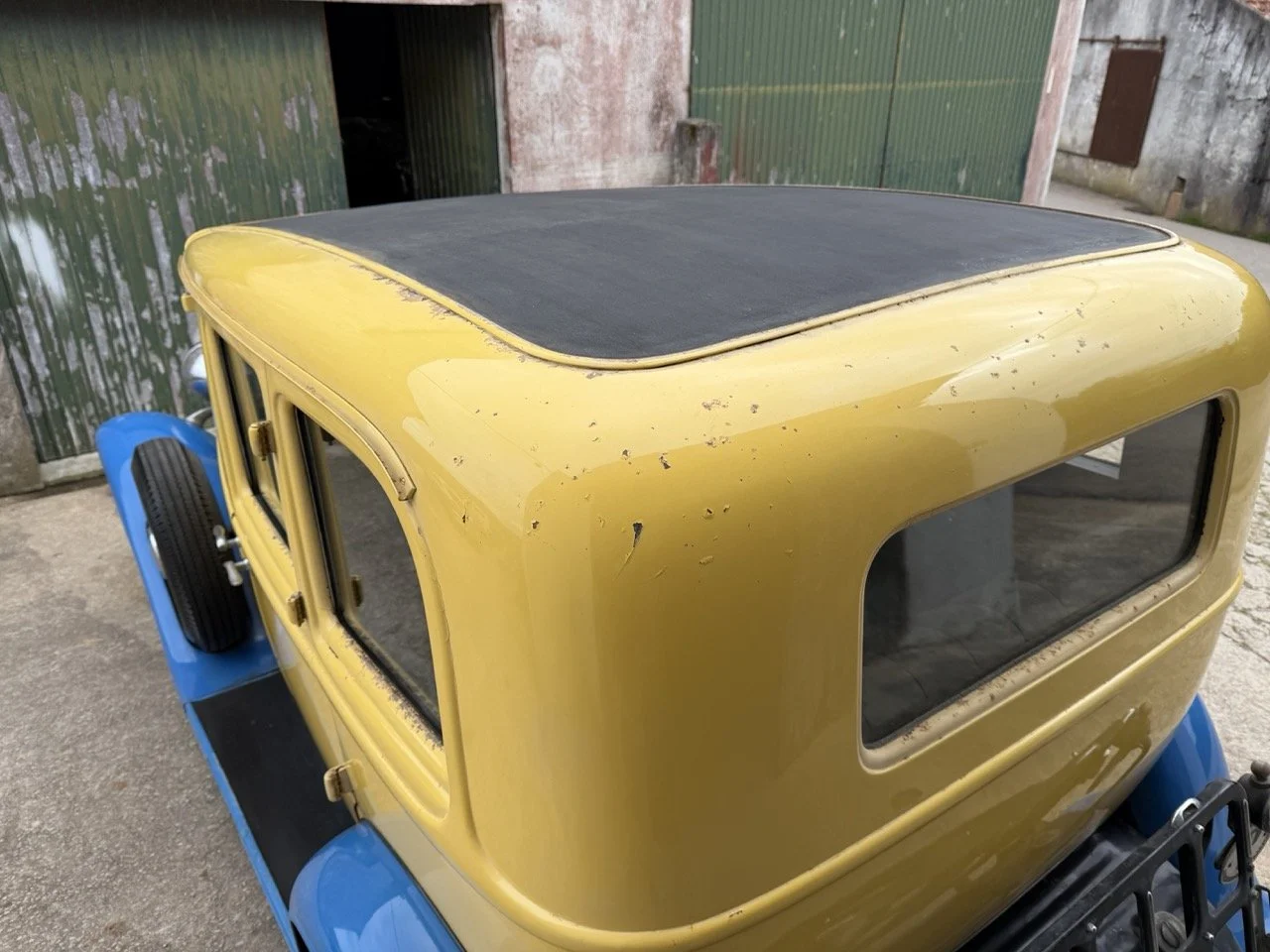 IMG_1553 – grande.jpeg