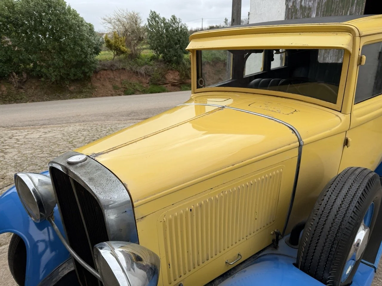 IMG_1577 – grande.jpeg