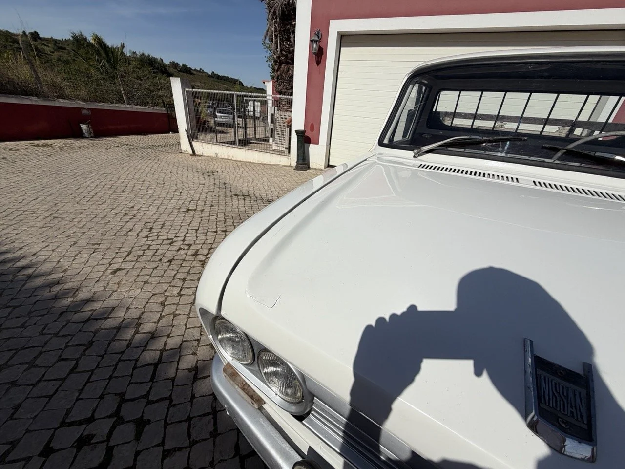 IMG_8590 2 – grande.jpeg