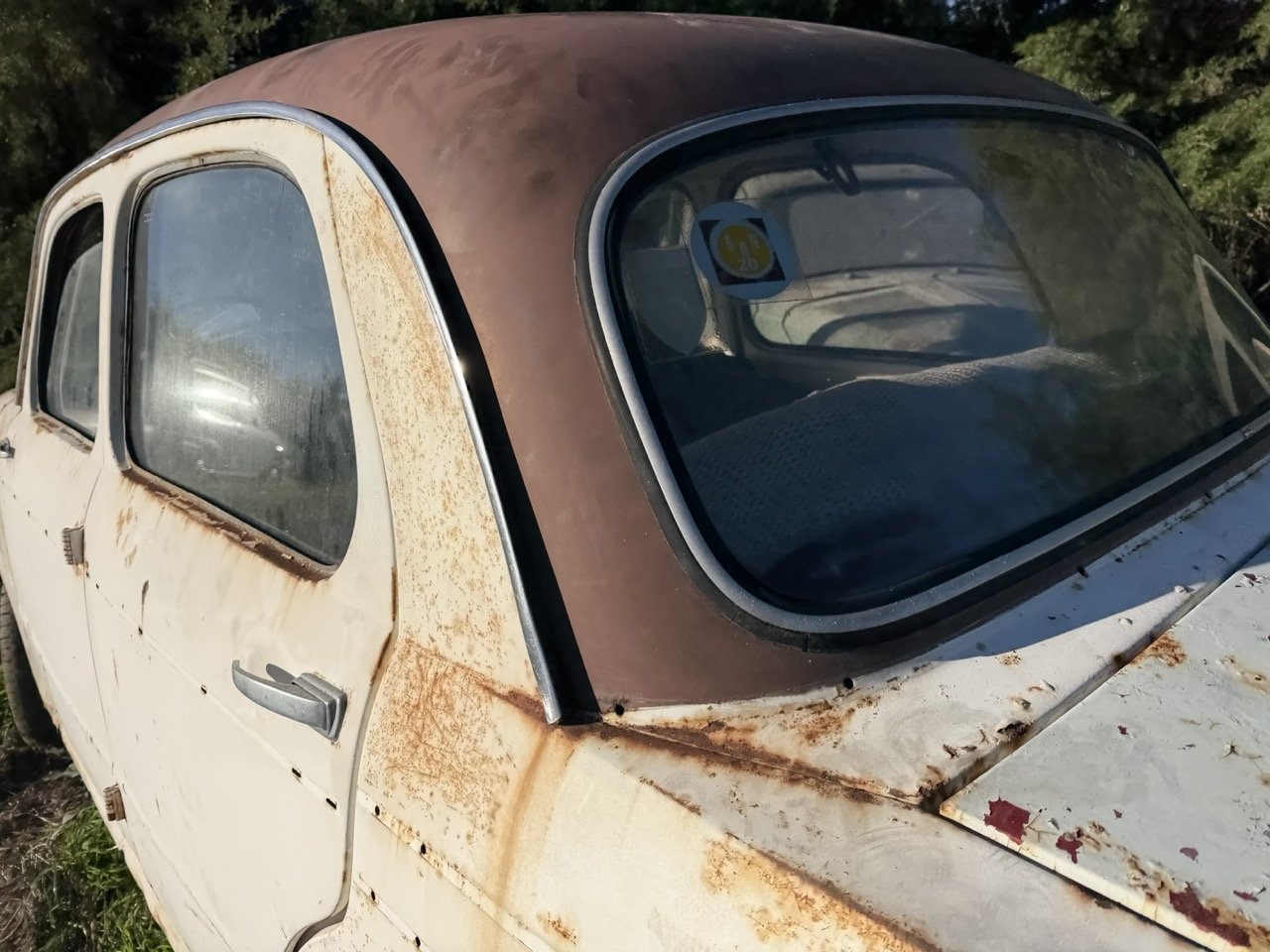 IMG_2513 – grande.jpeg