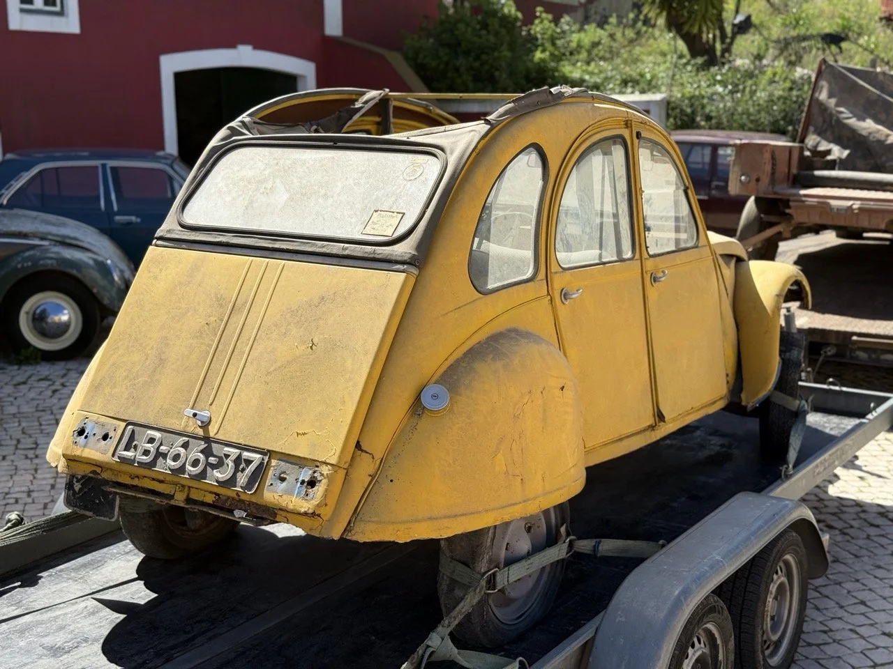 IMG_9086 2 – grande.jpeg