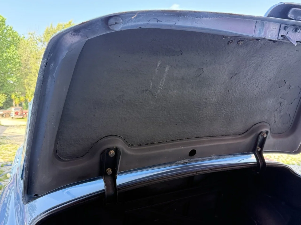 IMG_3535 – grande.jpeg