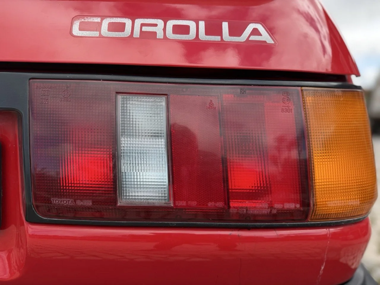 IMG_2405 – grande.jpeg