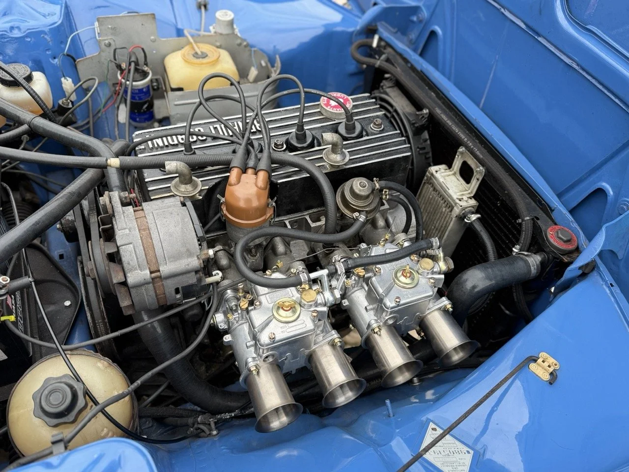 IMG_6022 – grande.jpeg