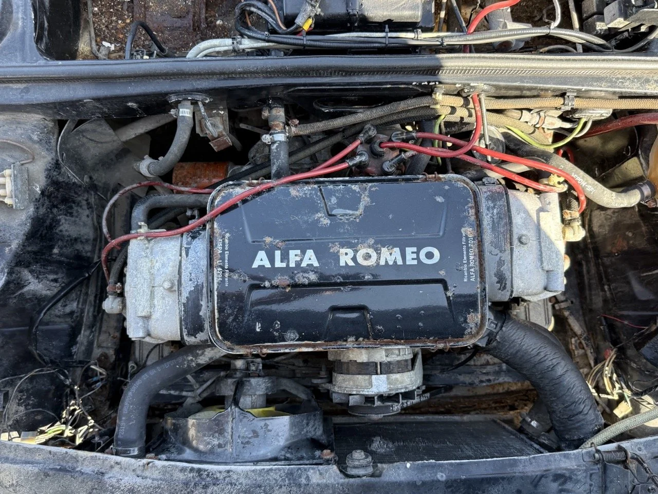 IMG_2941 – grande.jpeg