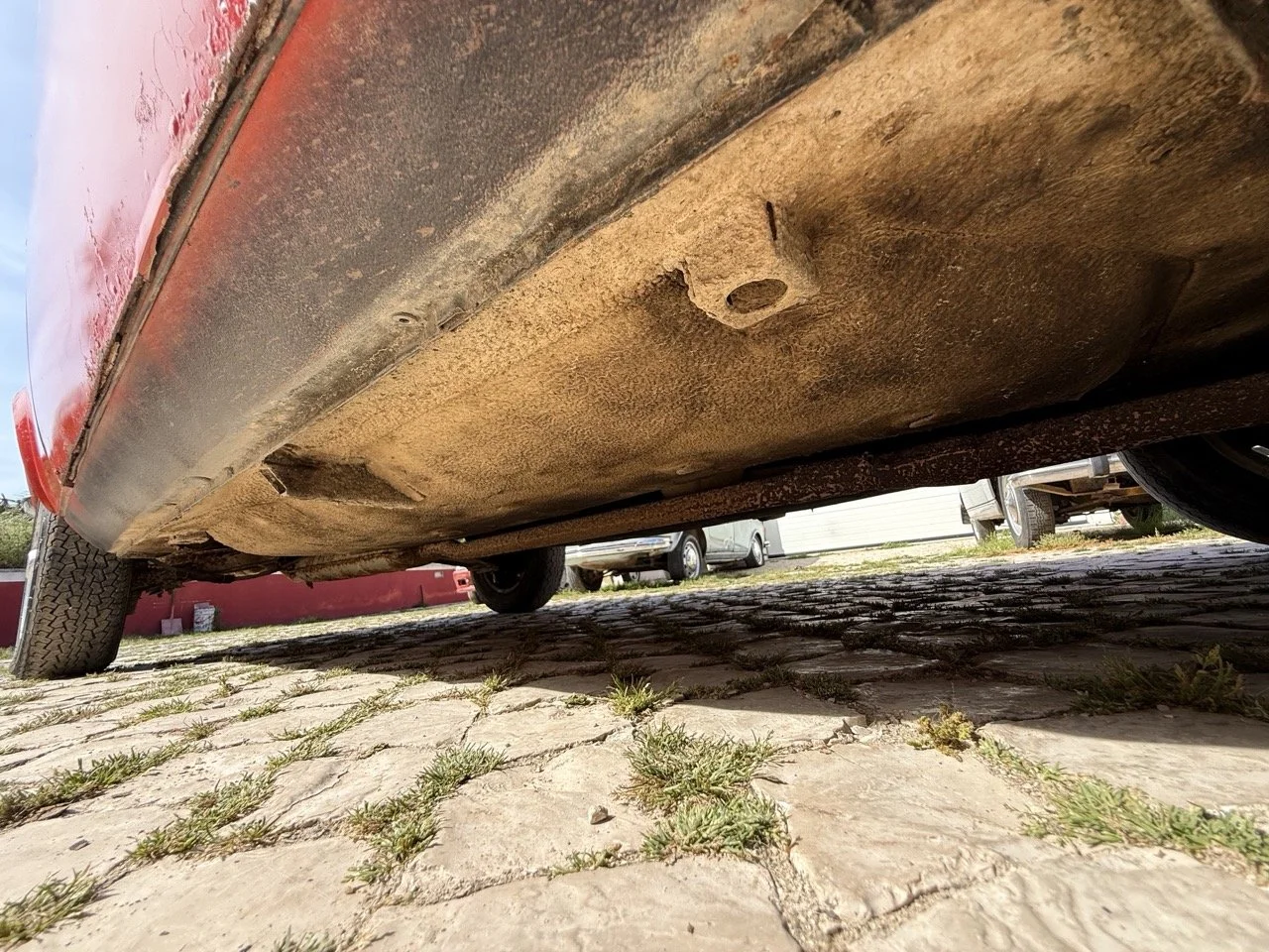 IMG_2370 – grande.jpeg