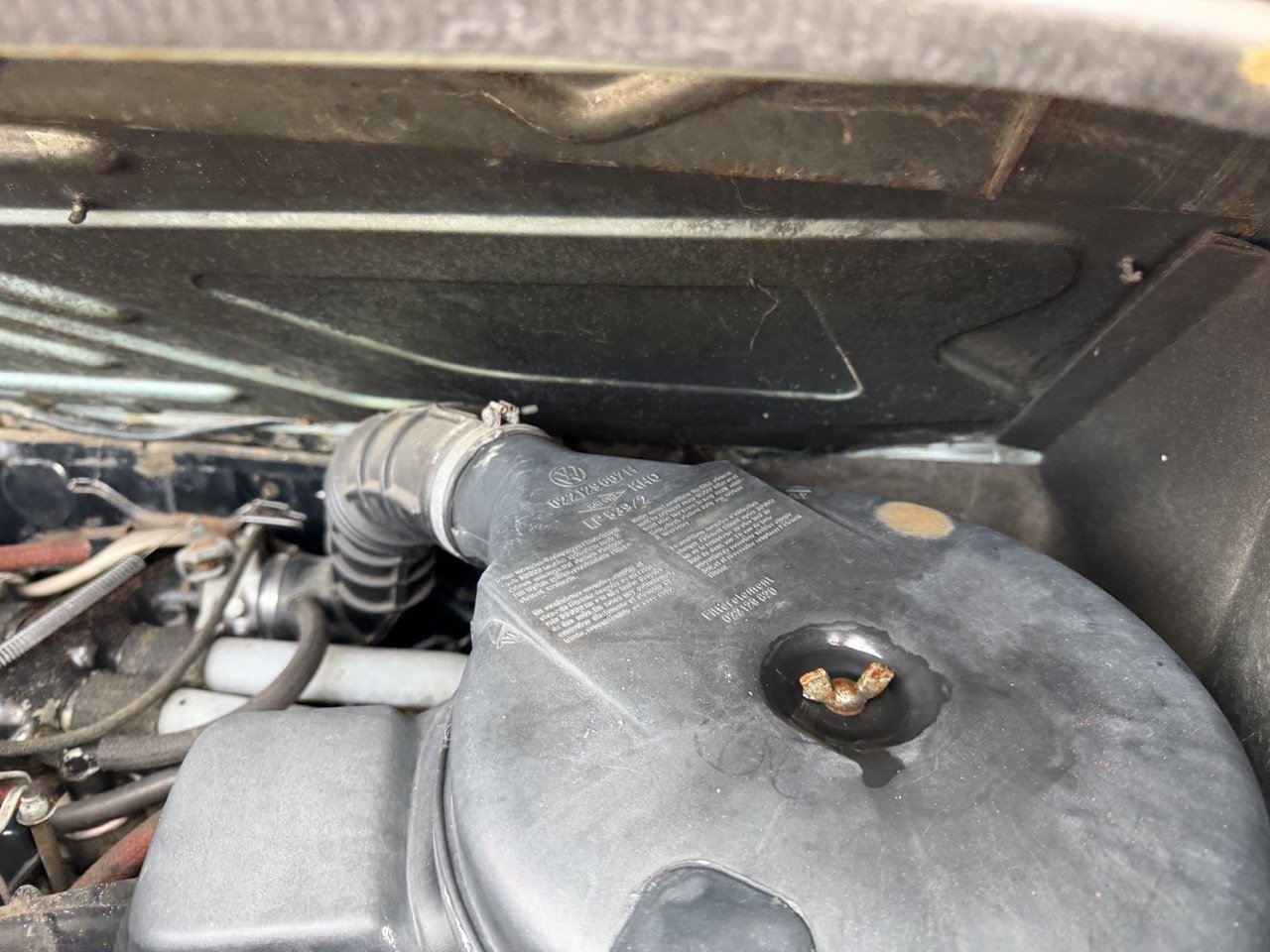 IMG_4800 – grande.jpeg