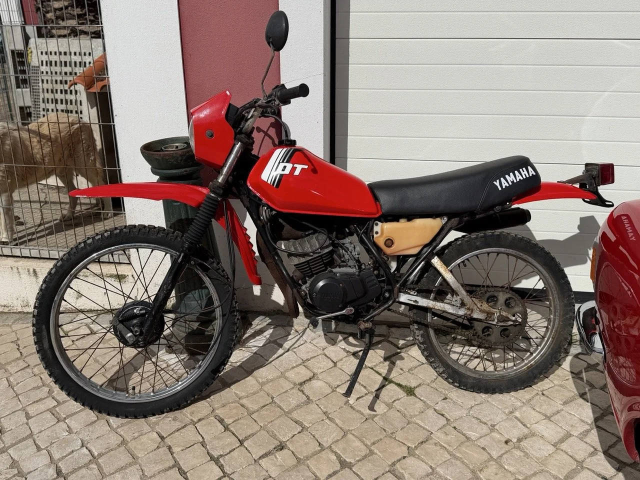 IMG_2152 – grande.jpeg