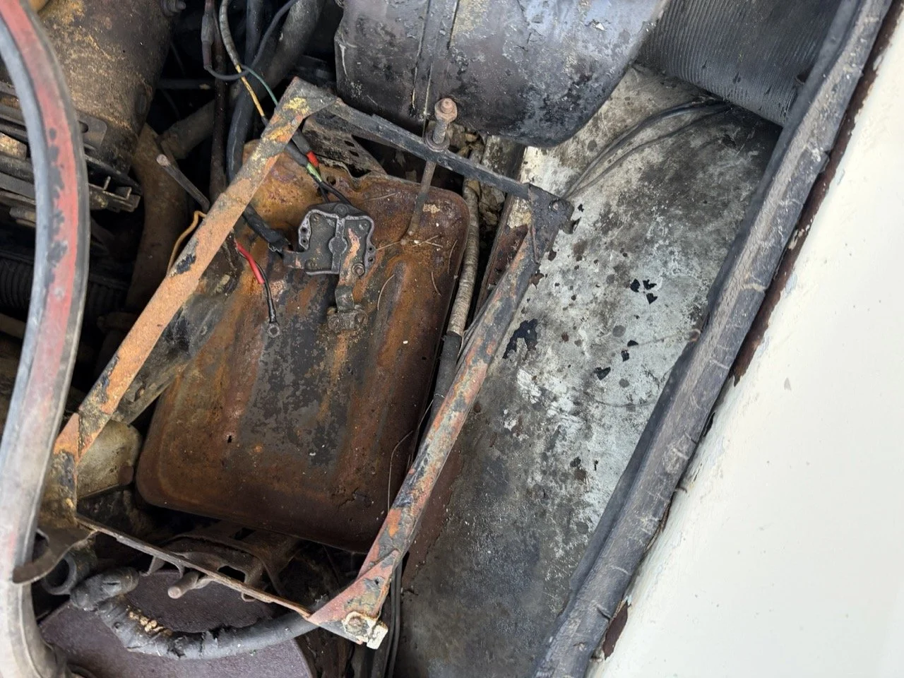 IMG_5966 2 – grande.jpeg