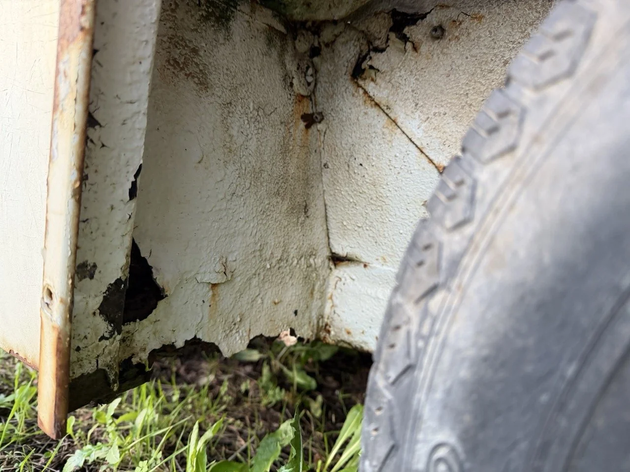 IMG_0905 – grande.jpeg