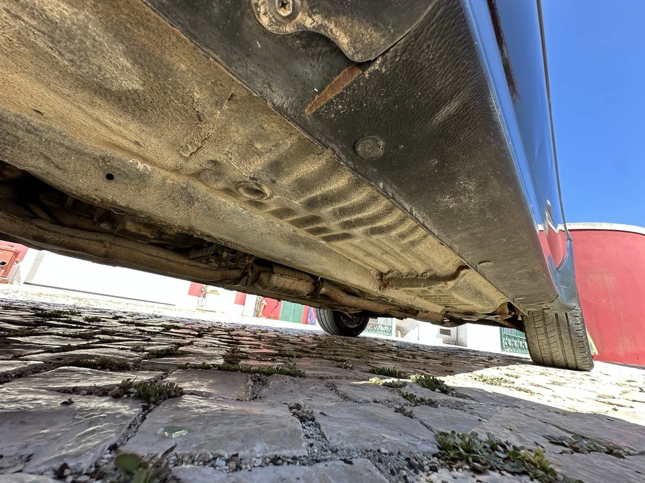 IMG_3123 – grande.jpeg