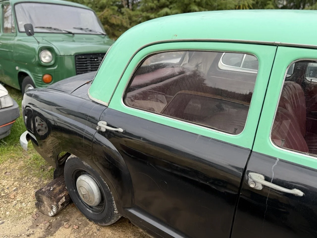 IMG_5010 – grande.jpeg