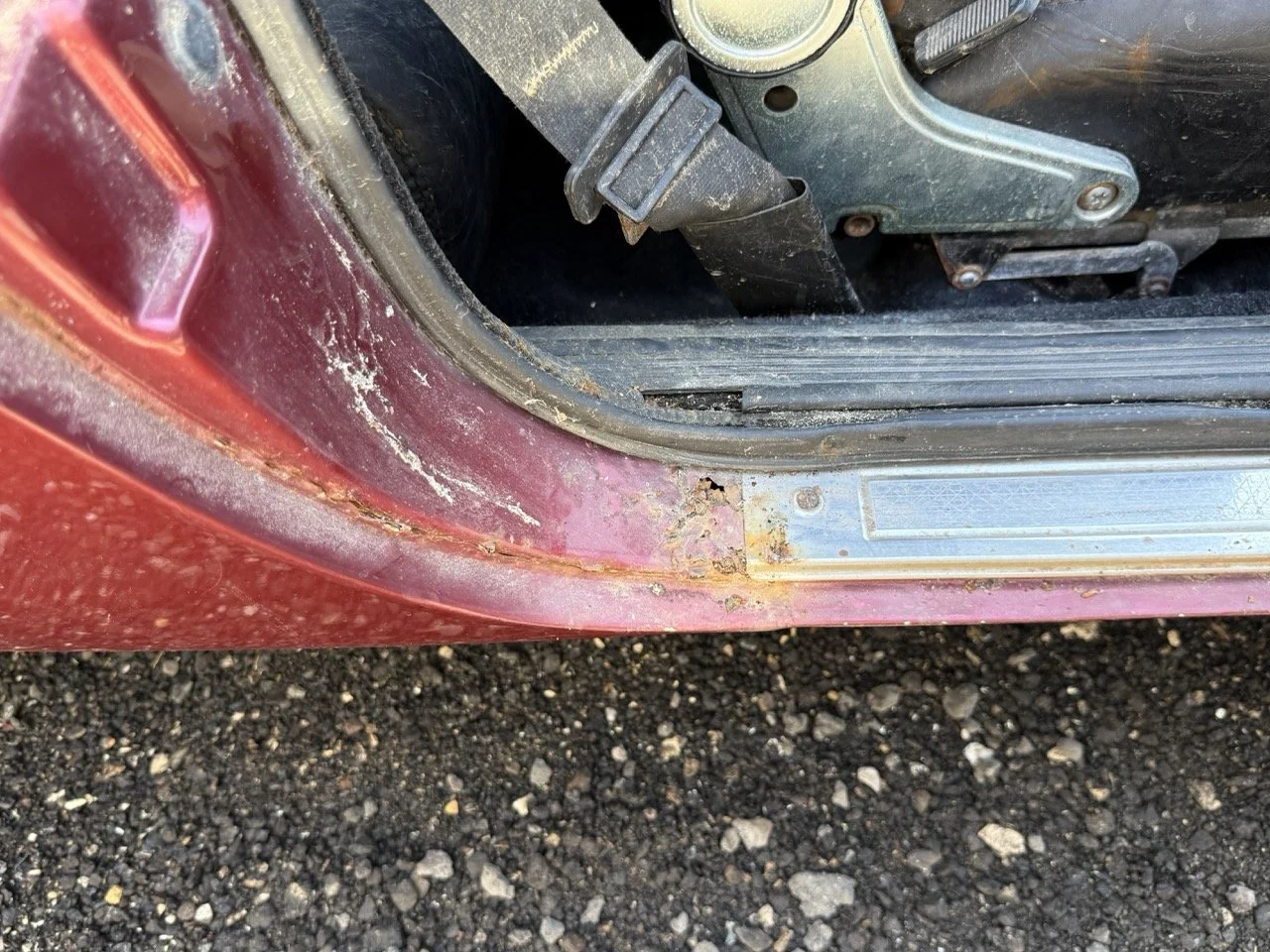 IMG_0945 – grande.jpeg