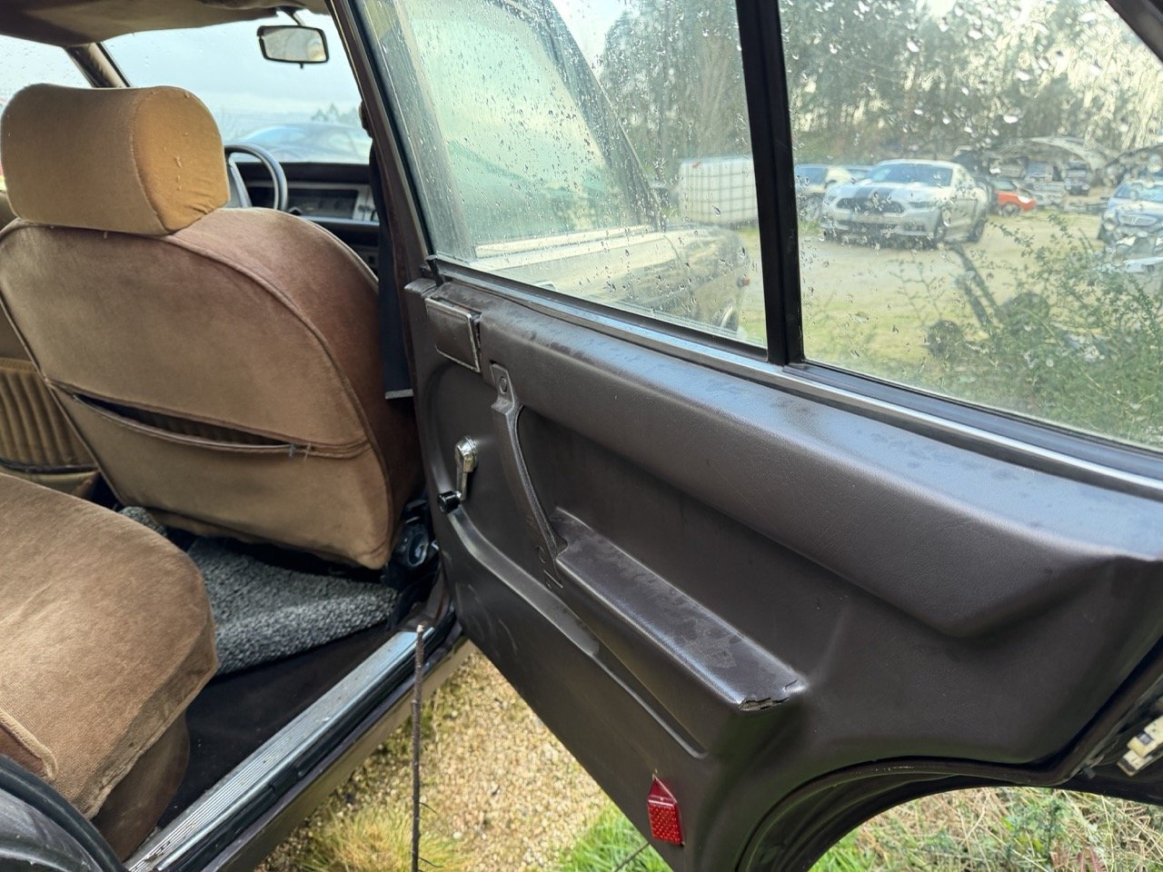 IMG_5275 – grande.jpeg