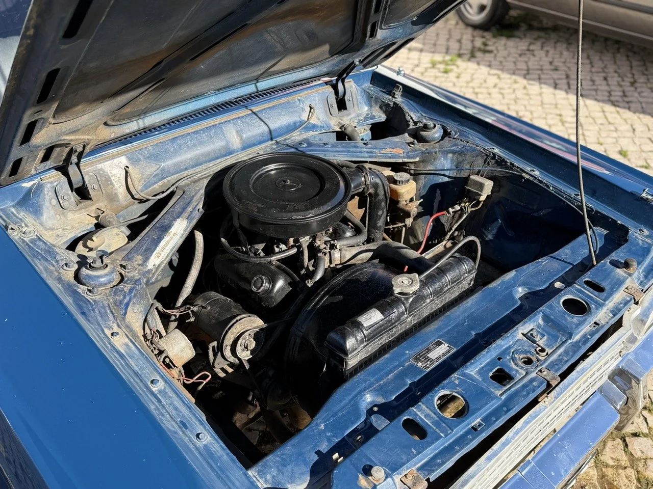 IMG_1841 – grande.jpeg