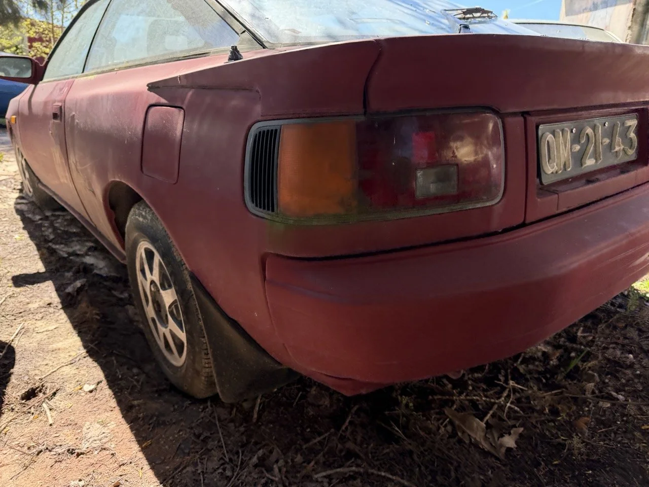 IMG_7640 – grande.jpeg