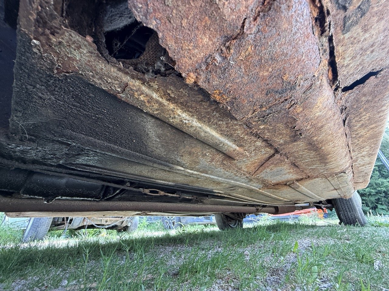 IMG_1435 – grande.jpeg