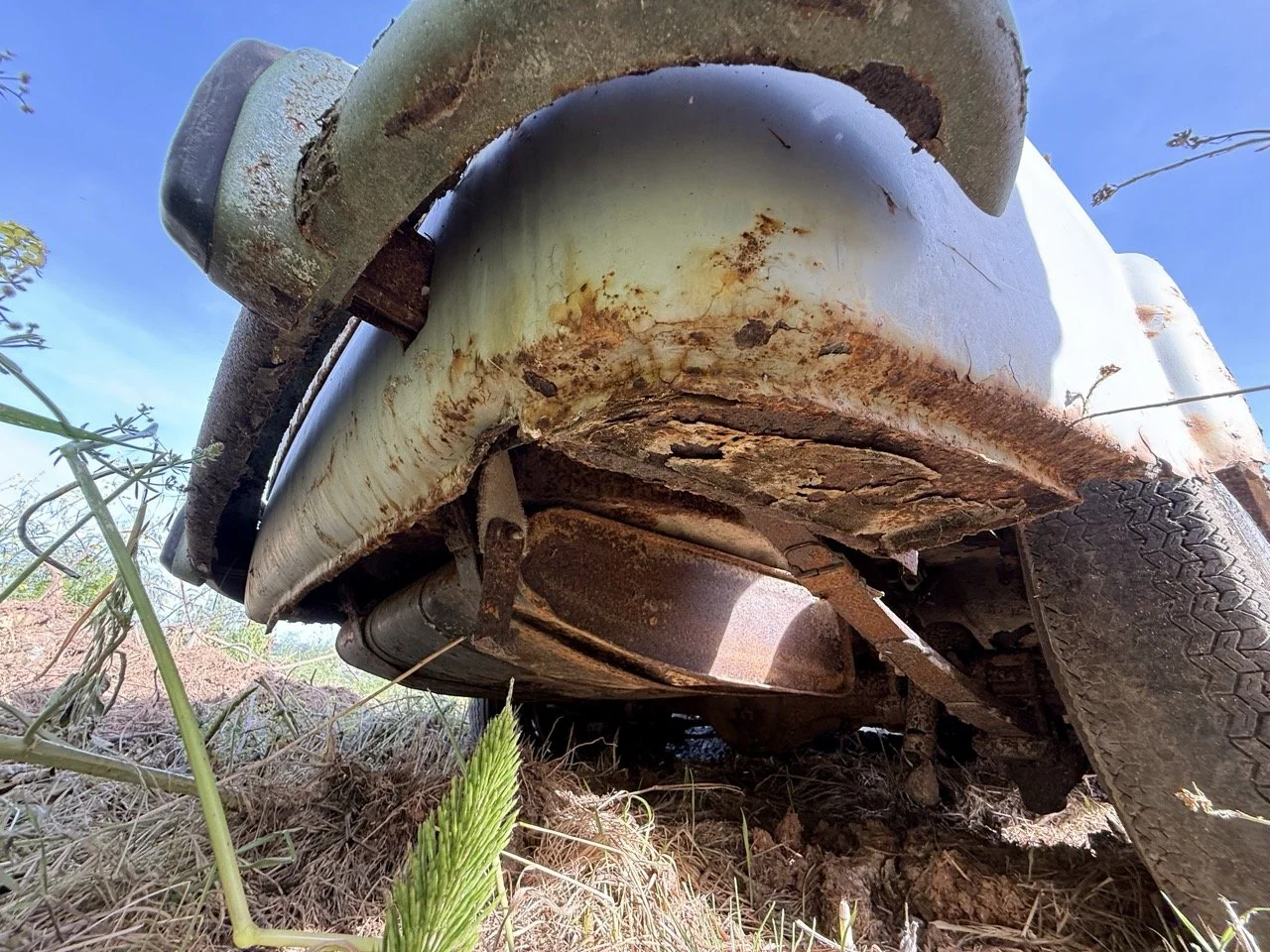 IMG_0512 – grande.jpeg