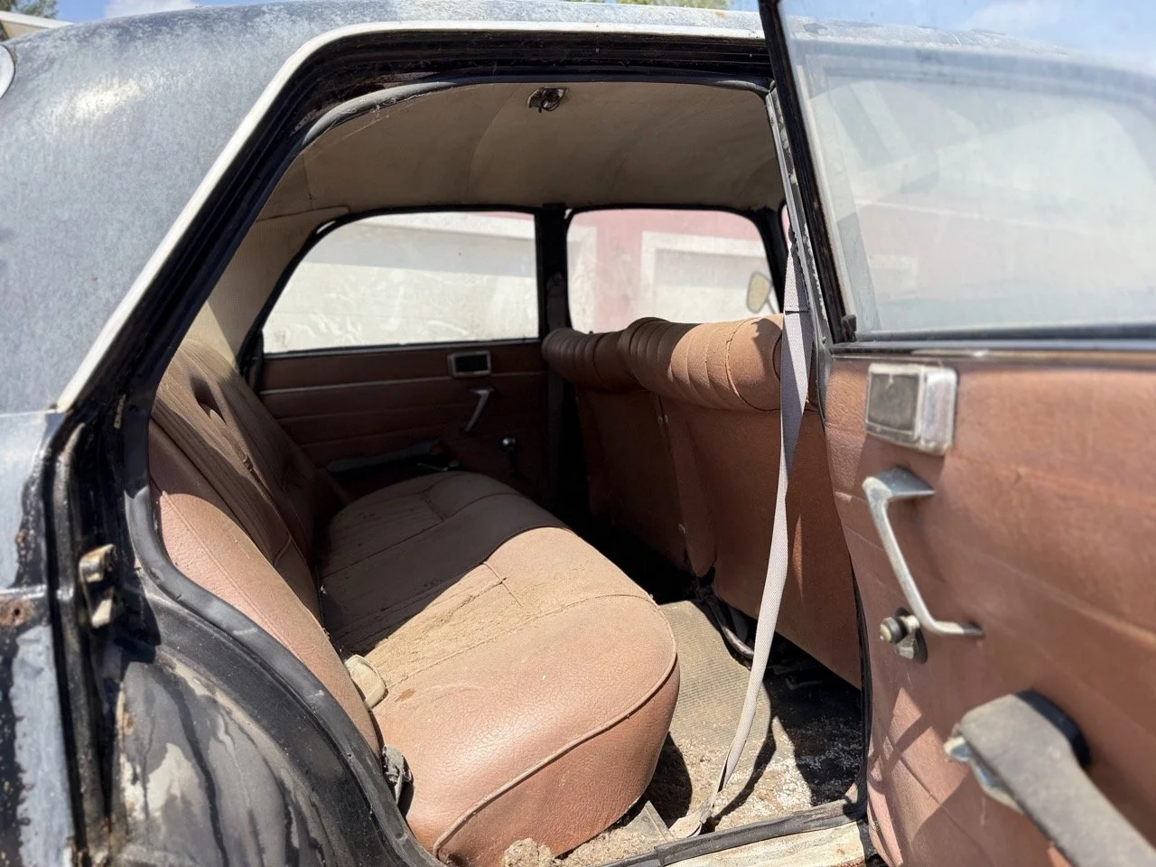 IMG_3469 – grande.jpeg