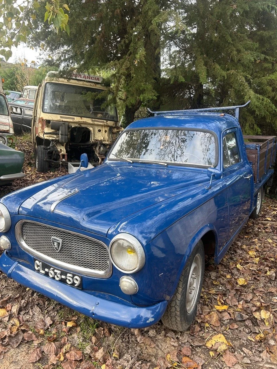 5d350ab1-f3e9-4809-bcab-2dbee820ffca – grande.jpeg