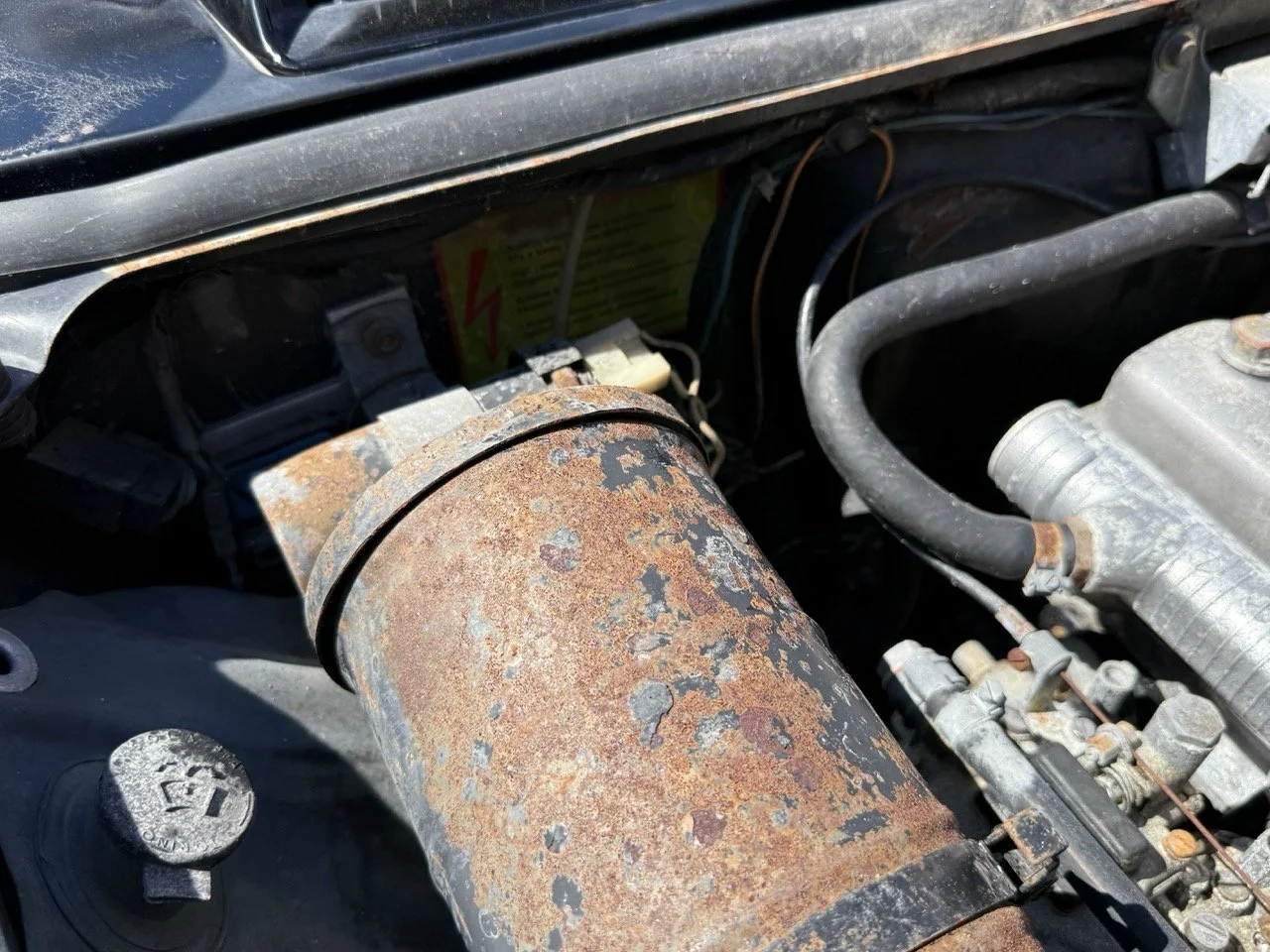 IMG_2222 – grande.jpeg