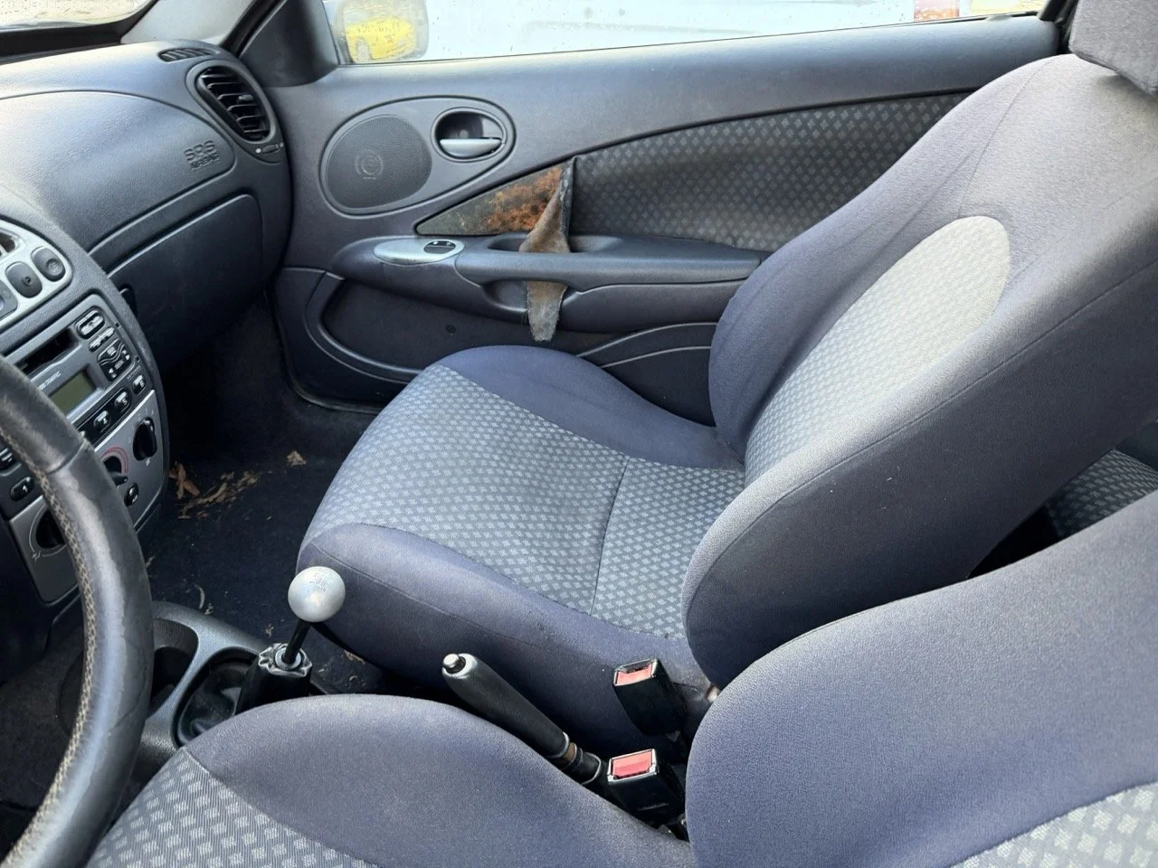 IMG_5298 – grande.jpeg