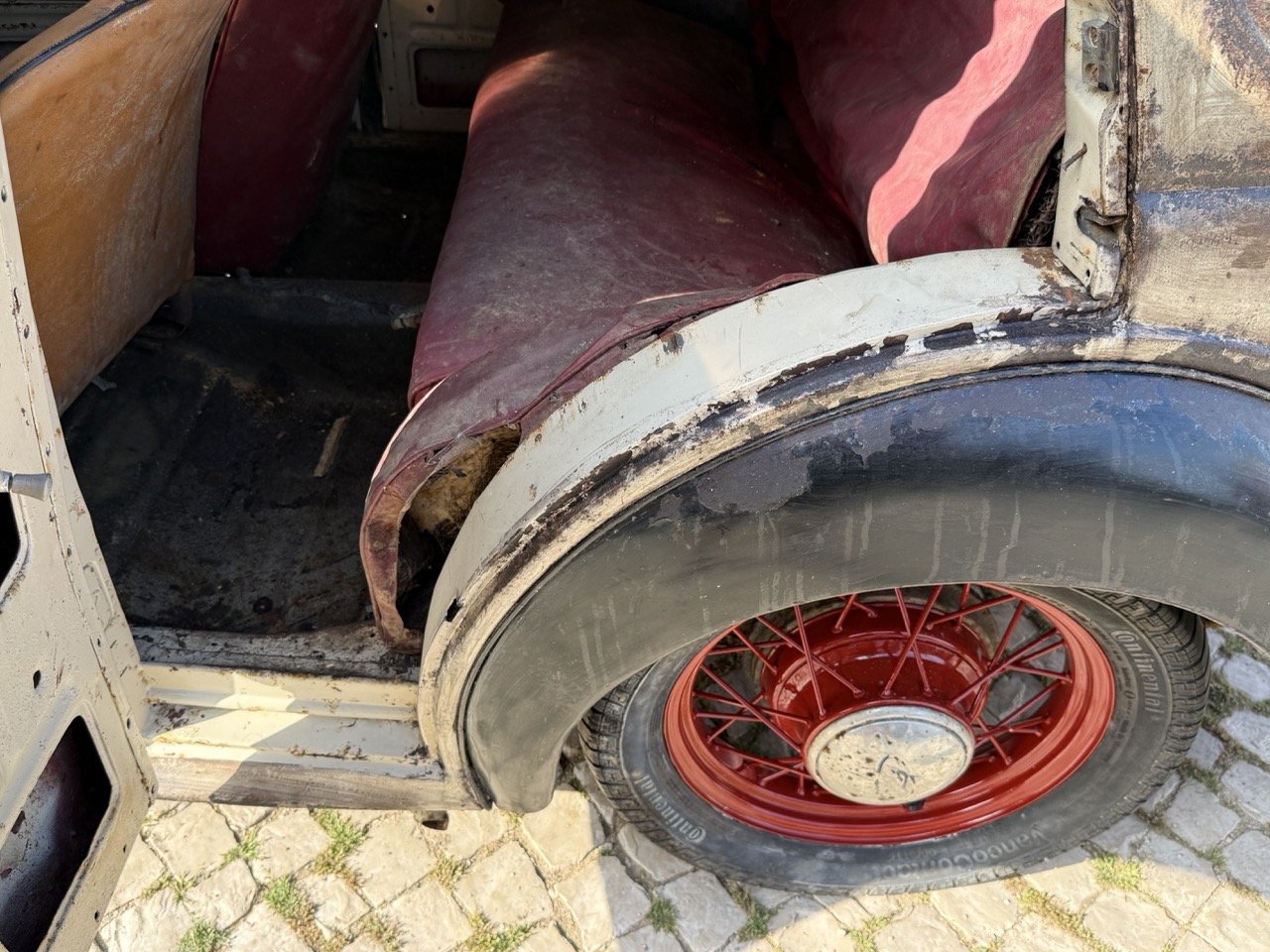 IMG_3729 – grande.jpeg