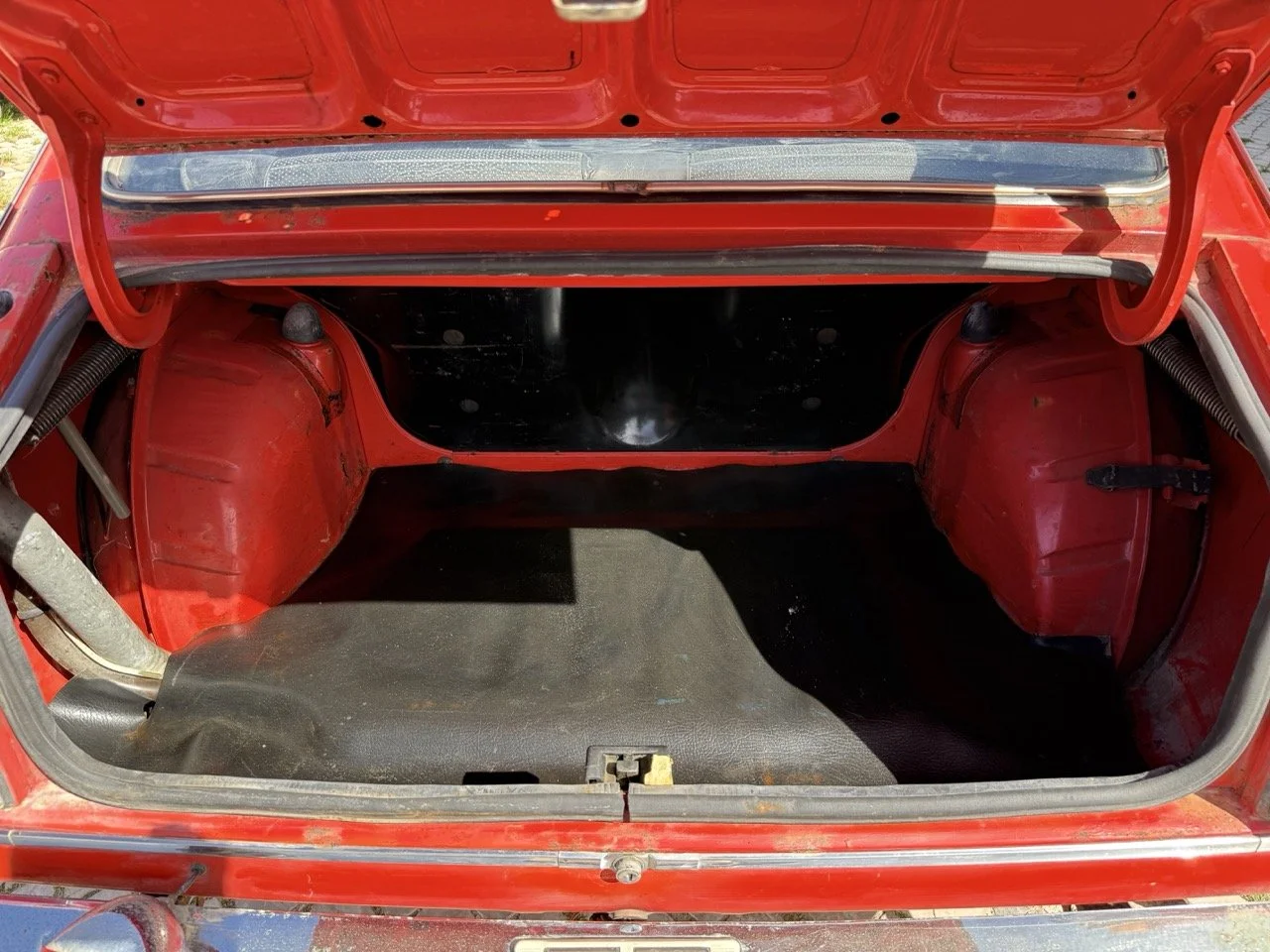 IMG_2303 – grande.jpeg