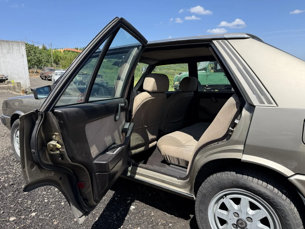 IMG_1885 – grande.jpeg