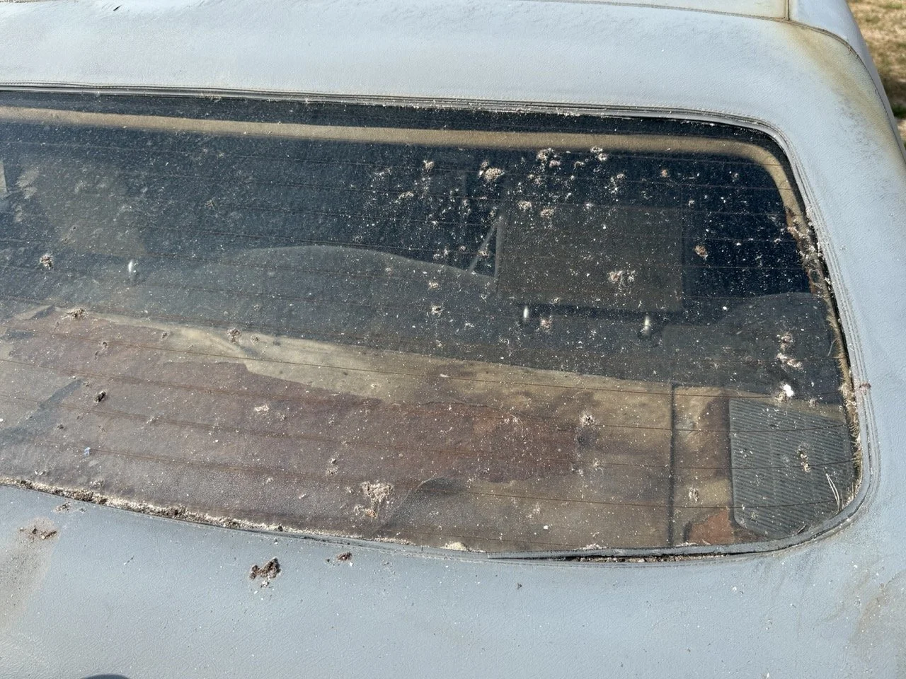 IMG_3406 – grande.jpeg