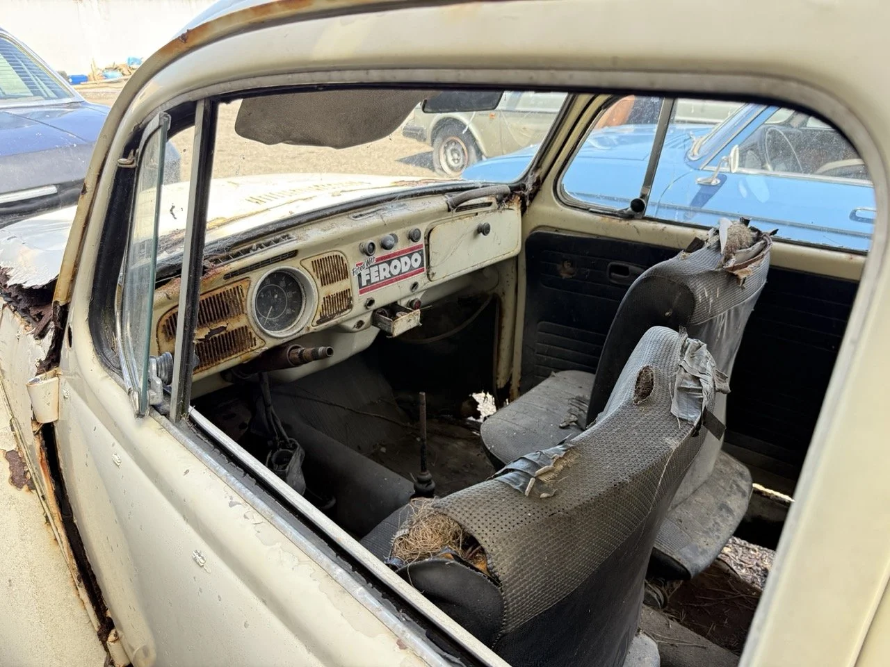 IMG_0637 – grande.jpeg