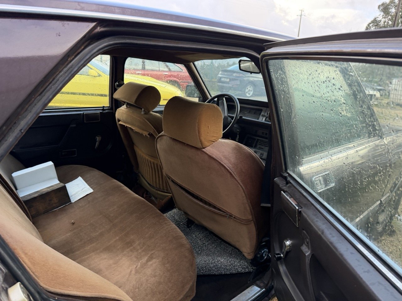 IMG_5276 2 – grande.jpeg