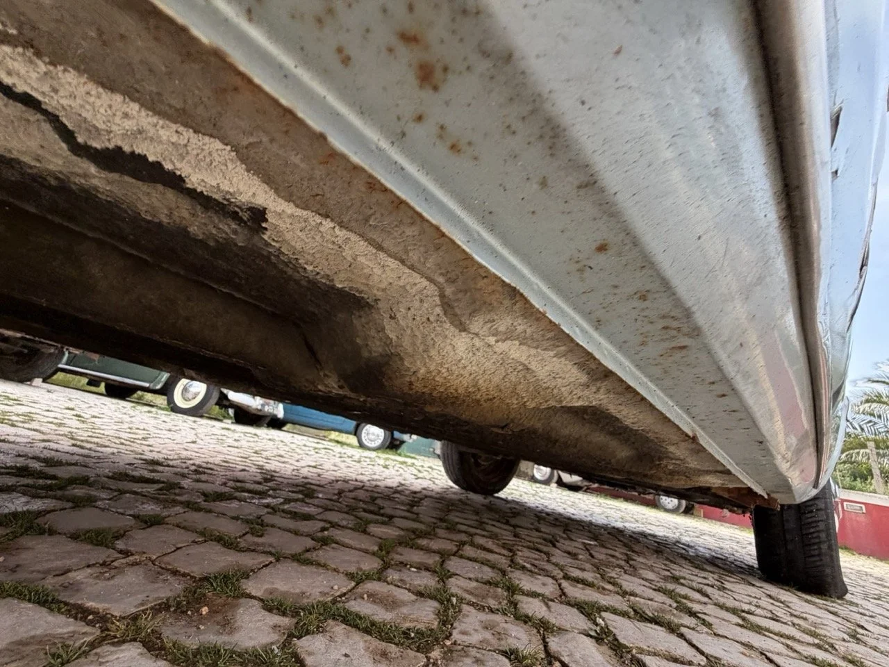 IMG_4871 – grande.jpeg