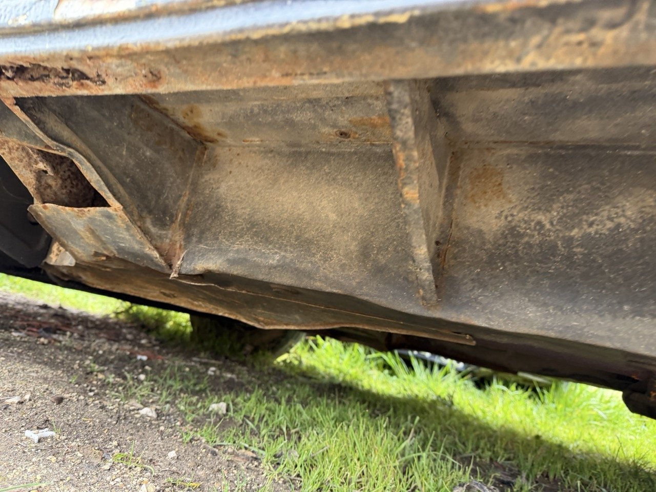 IMG_1351 – grande.jpeg