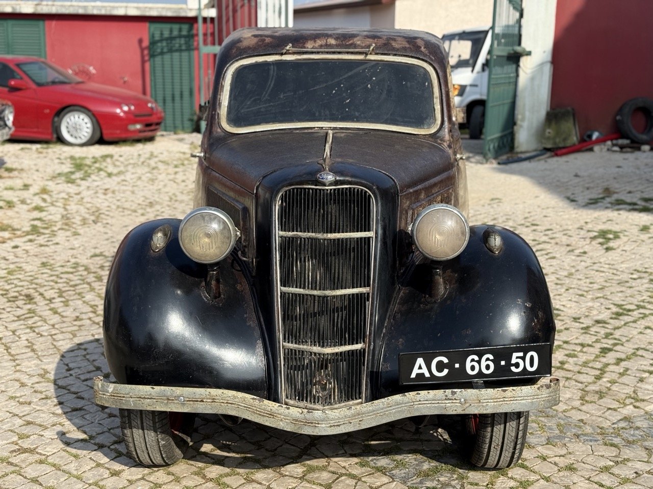 IMG_3674 – grande.jpeg