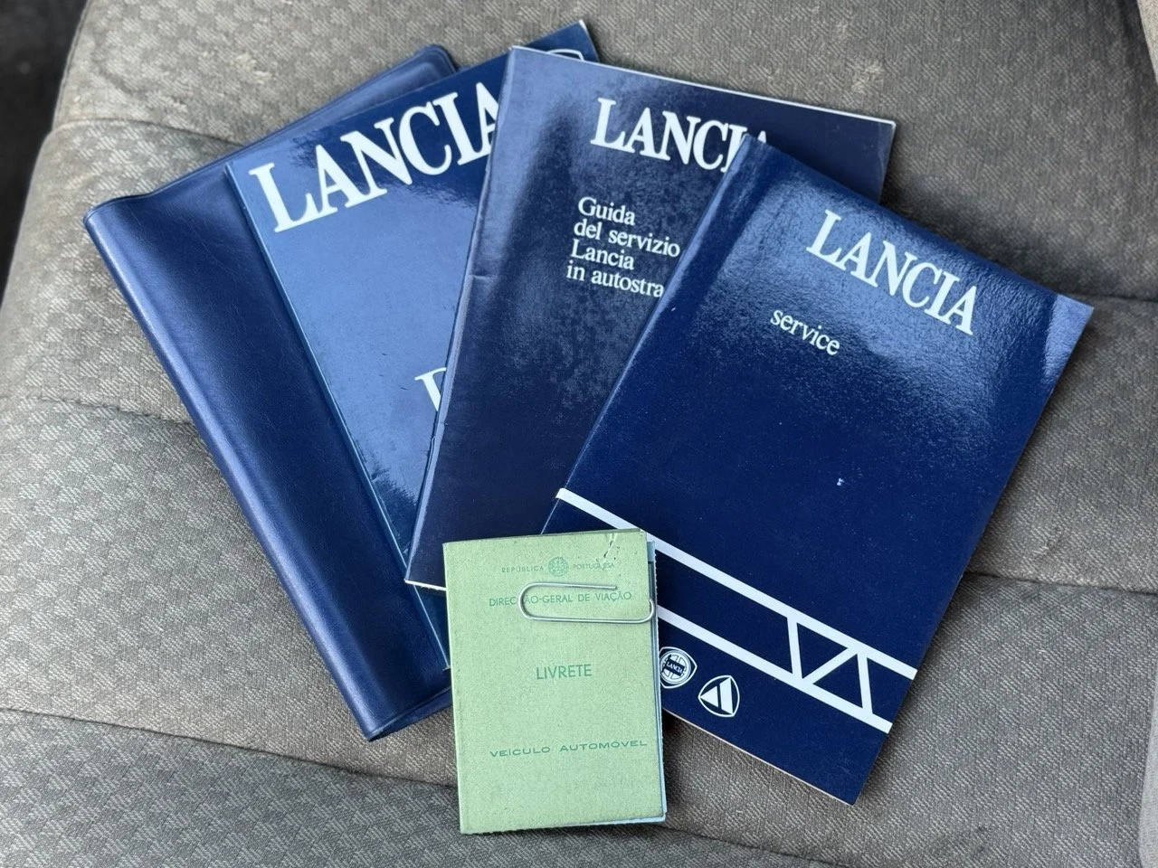 IMG_1910 – grande.jpeg