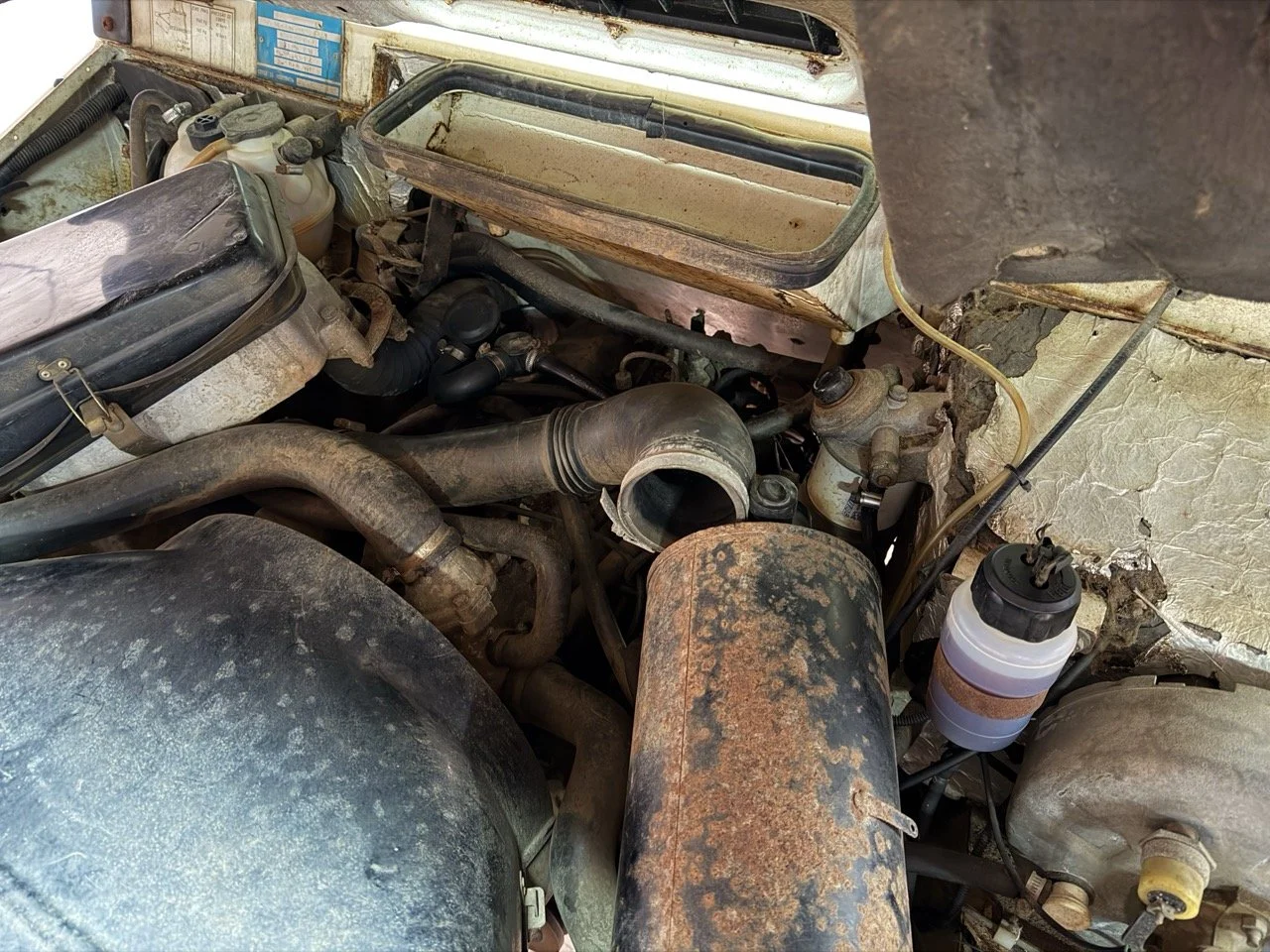 IMG_5199 – grande.jpeg