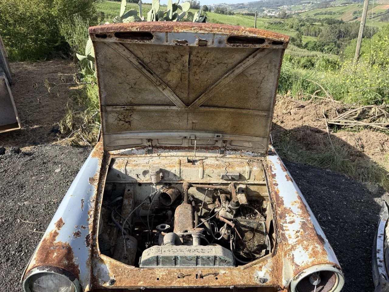 IMG_0493 – grande.jpeg