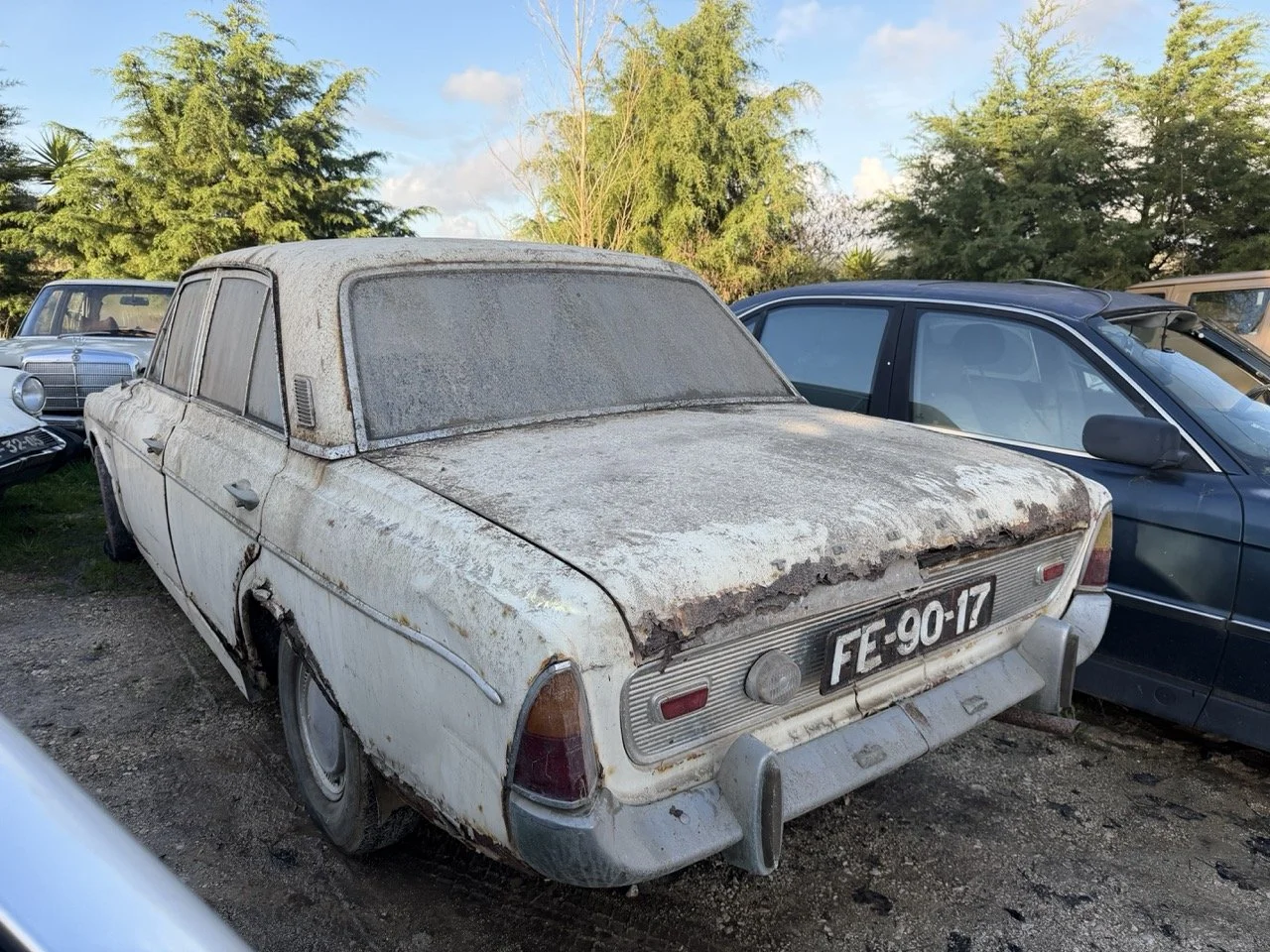 IMG_4069 – grande.jpeg