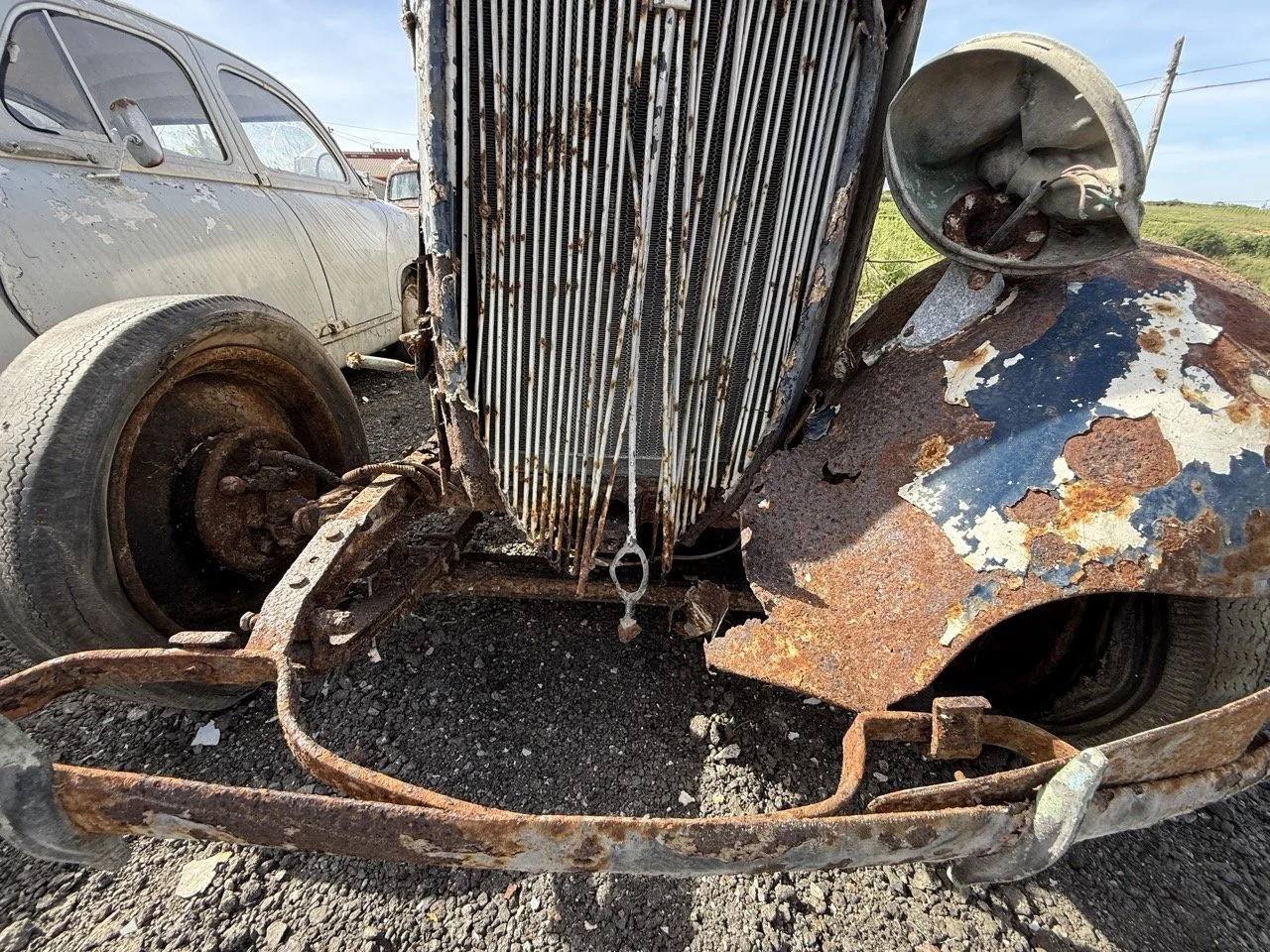 IMG_0377 – grande.jpeg