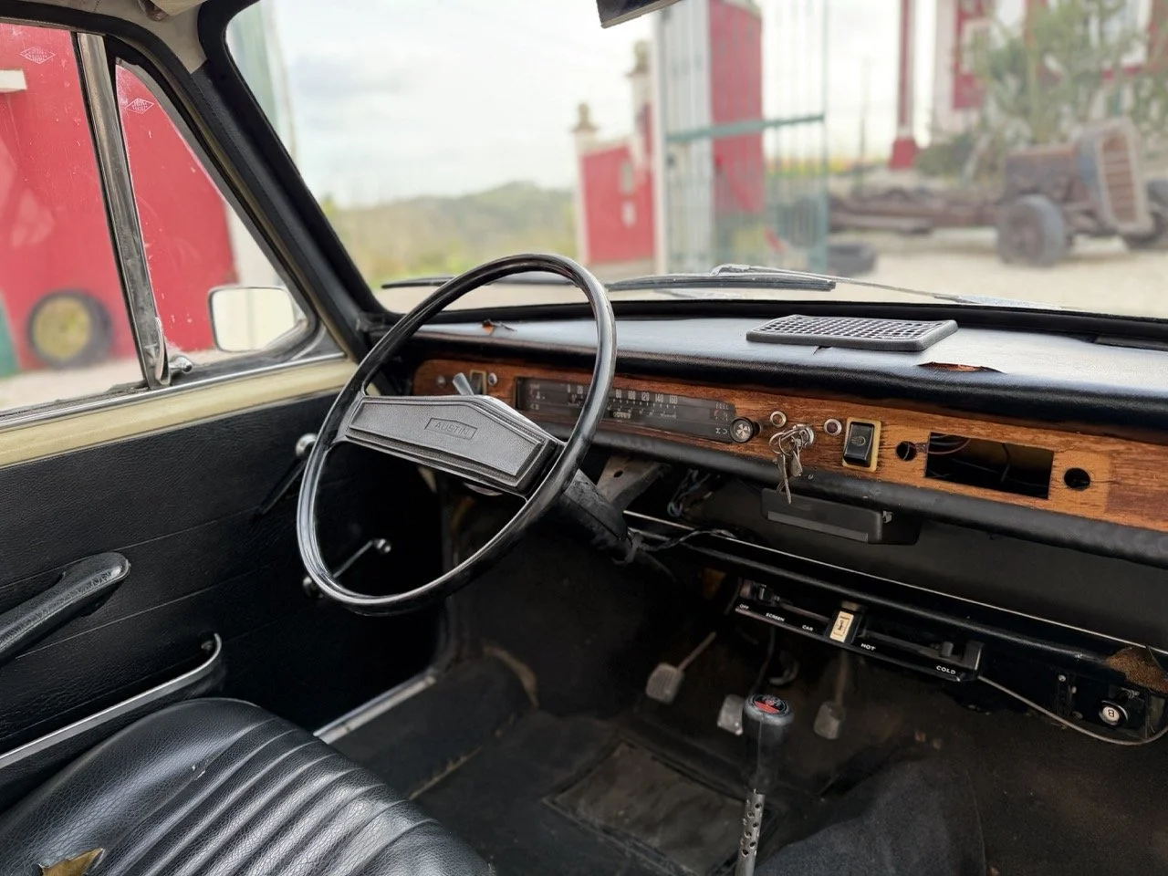 IMG_4046 – grande.jpeg