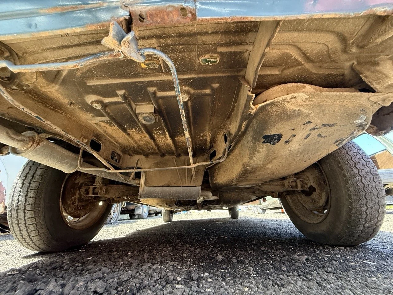 IMG_0810 – grande.jpeg