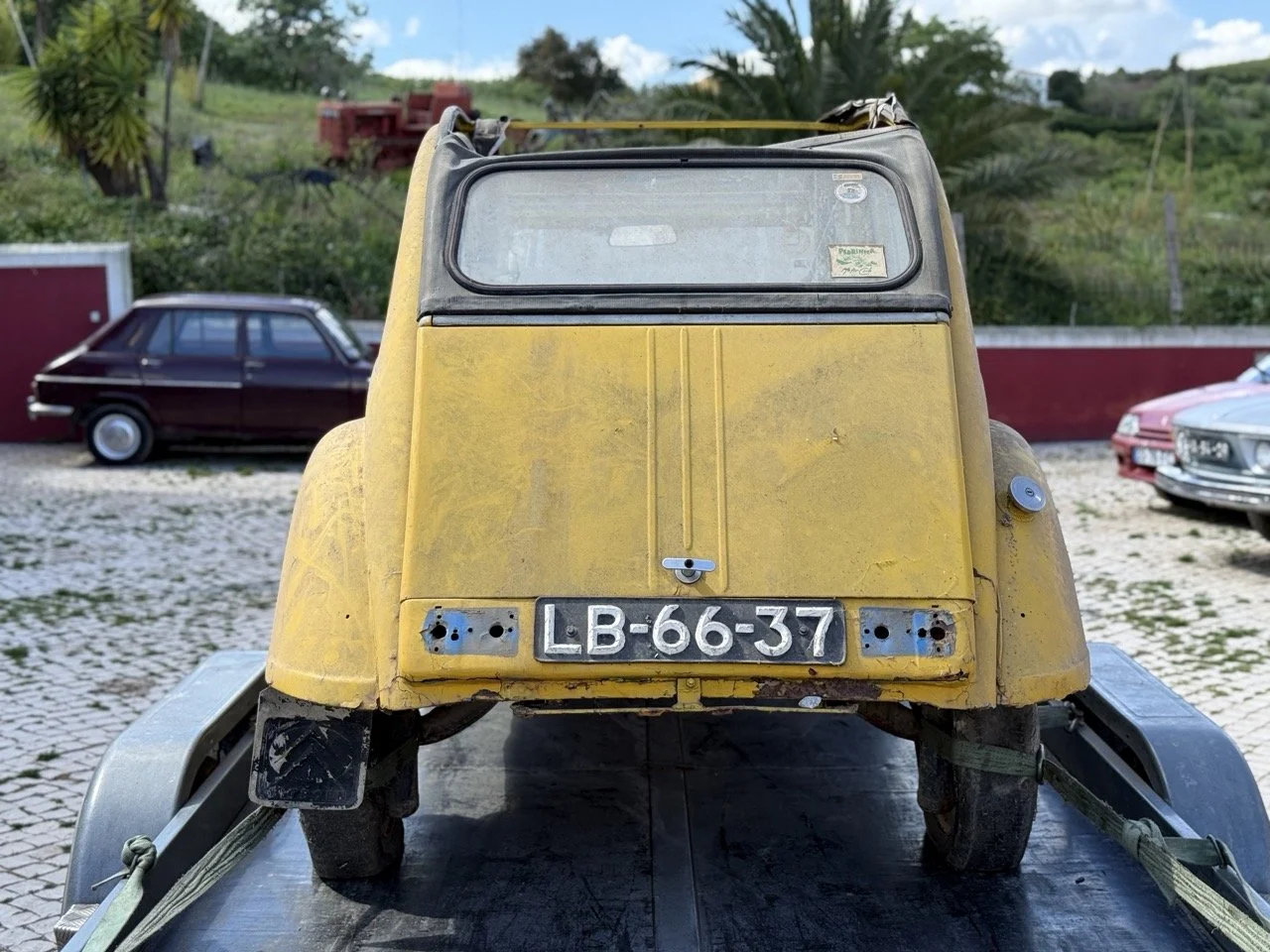 IMG_9084 2 – grande.jpeg