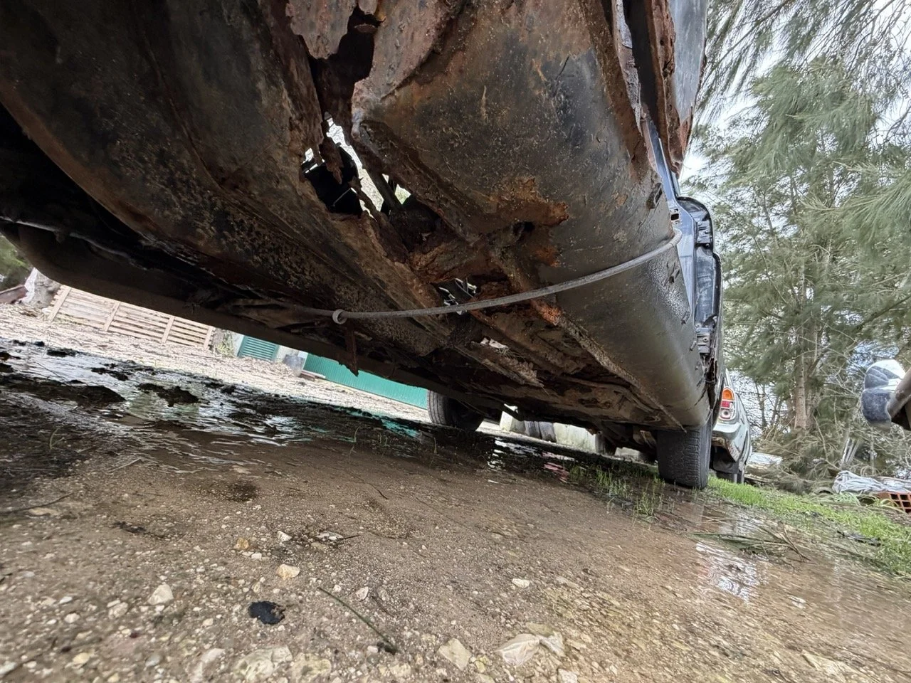 IMG_1940 – grande.jpeg