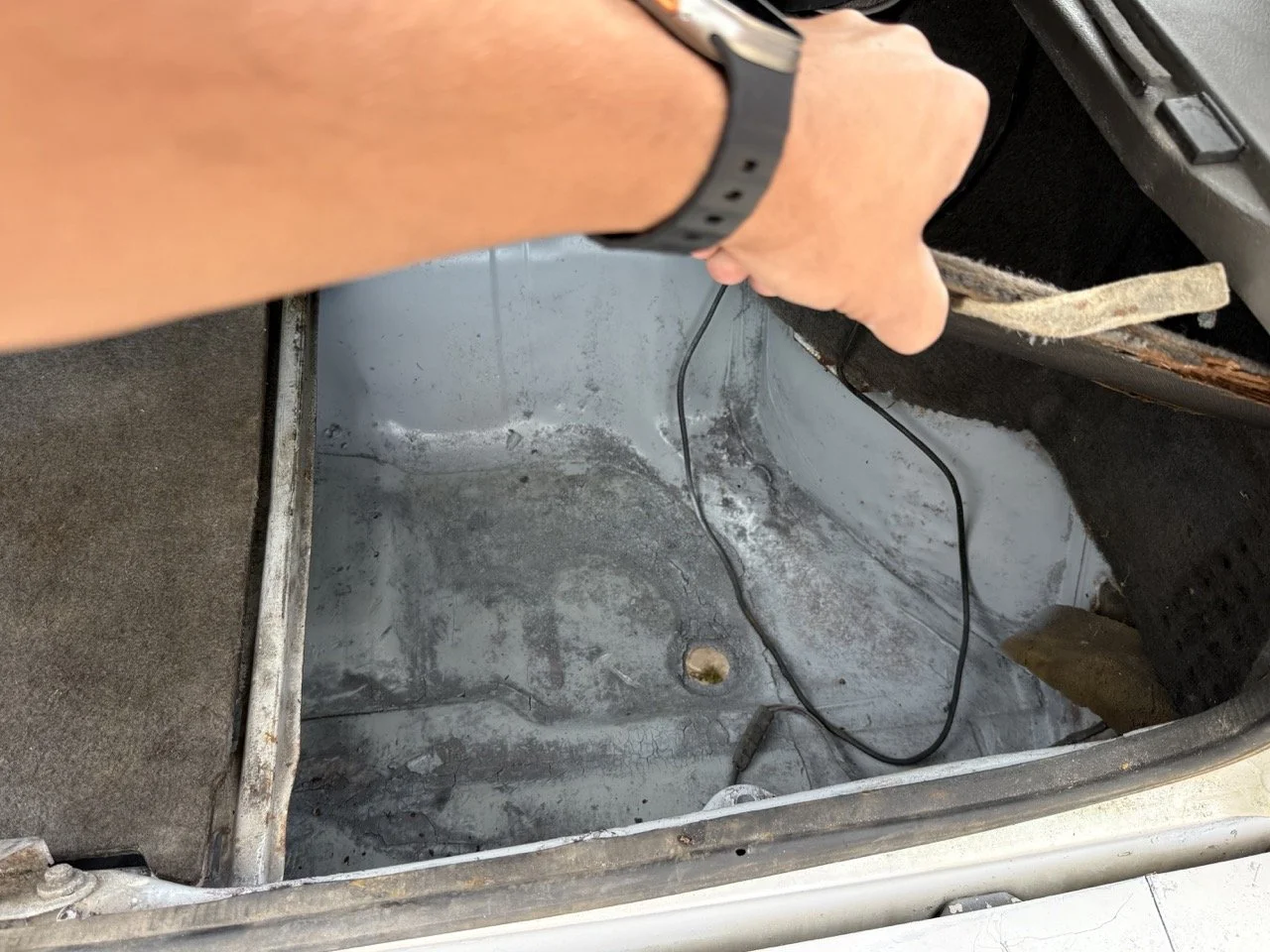 IMG_8582 – grande.jpeg