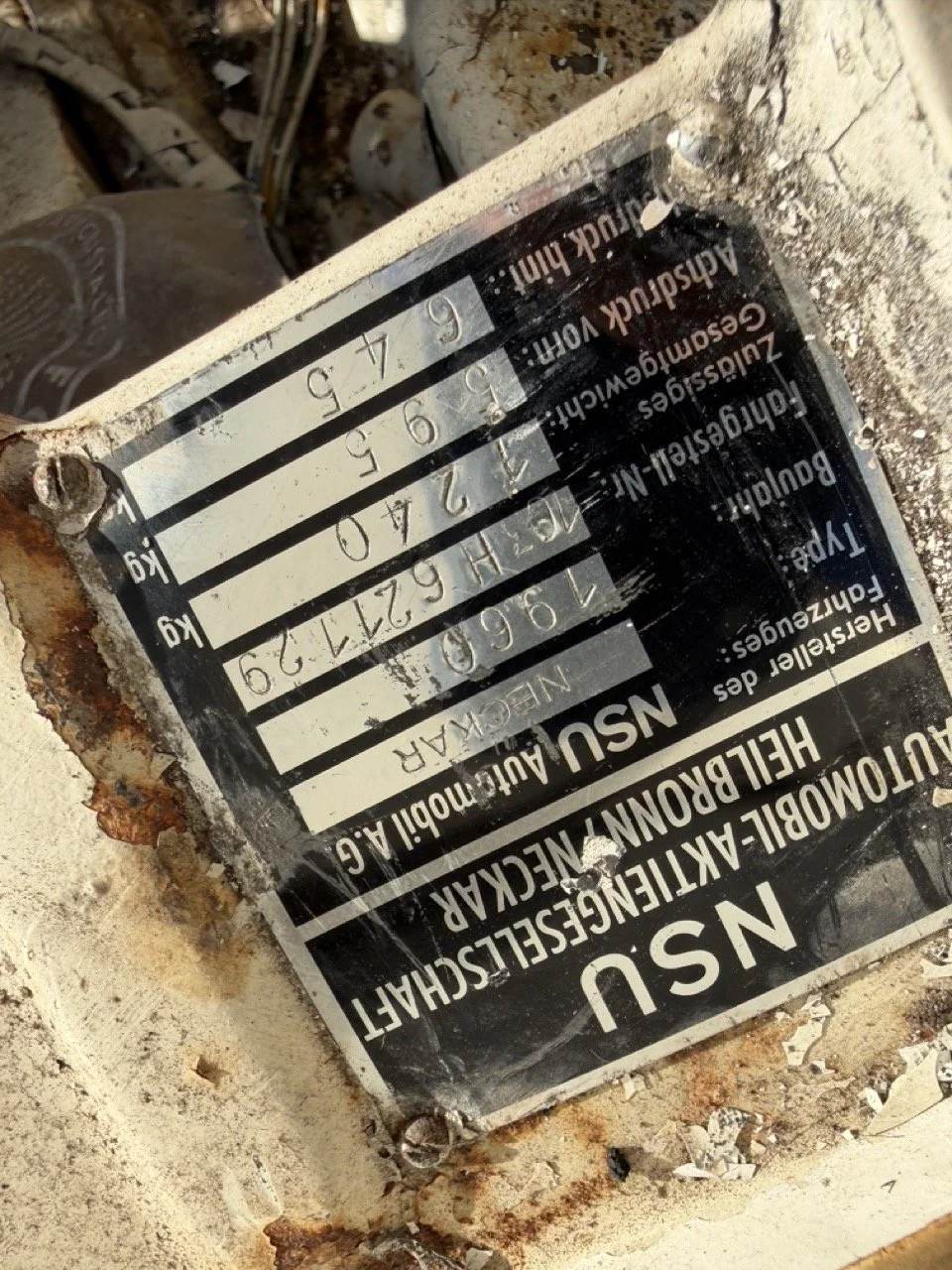 IMG_2546 – grande.jpeg