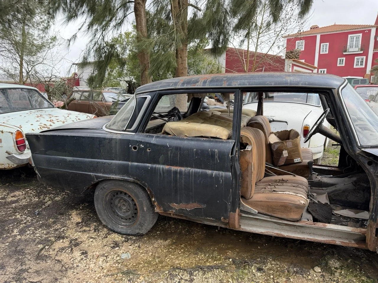 IMG_1922 – grande.jpeg