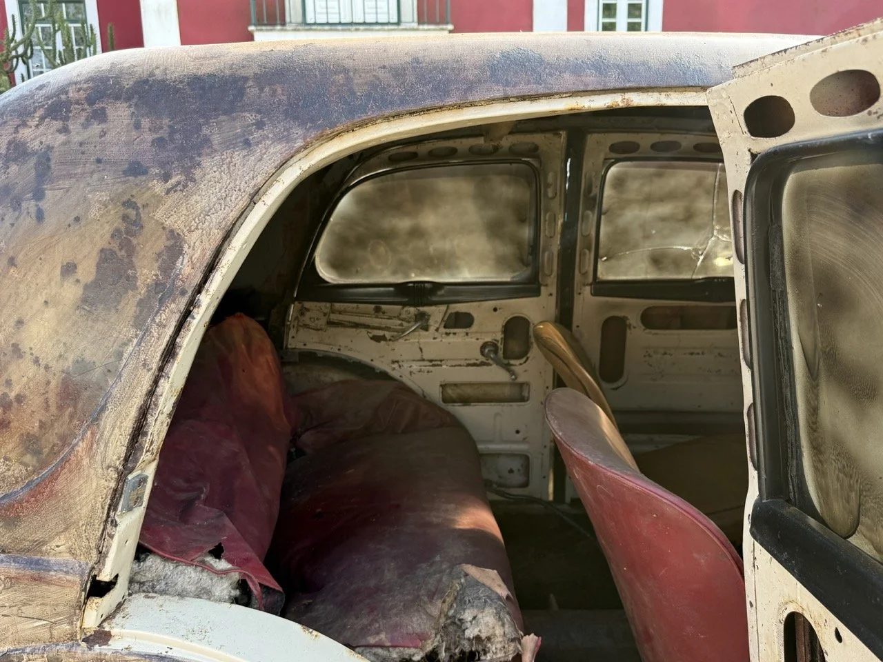 IMG_3724 – grande.jpeg