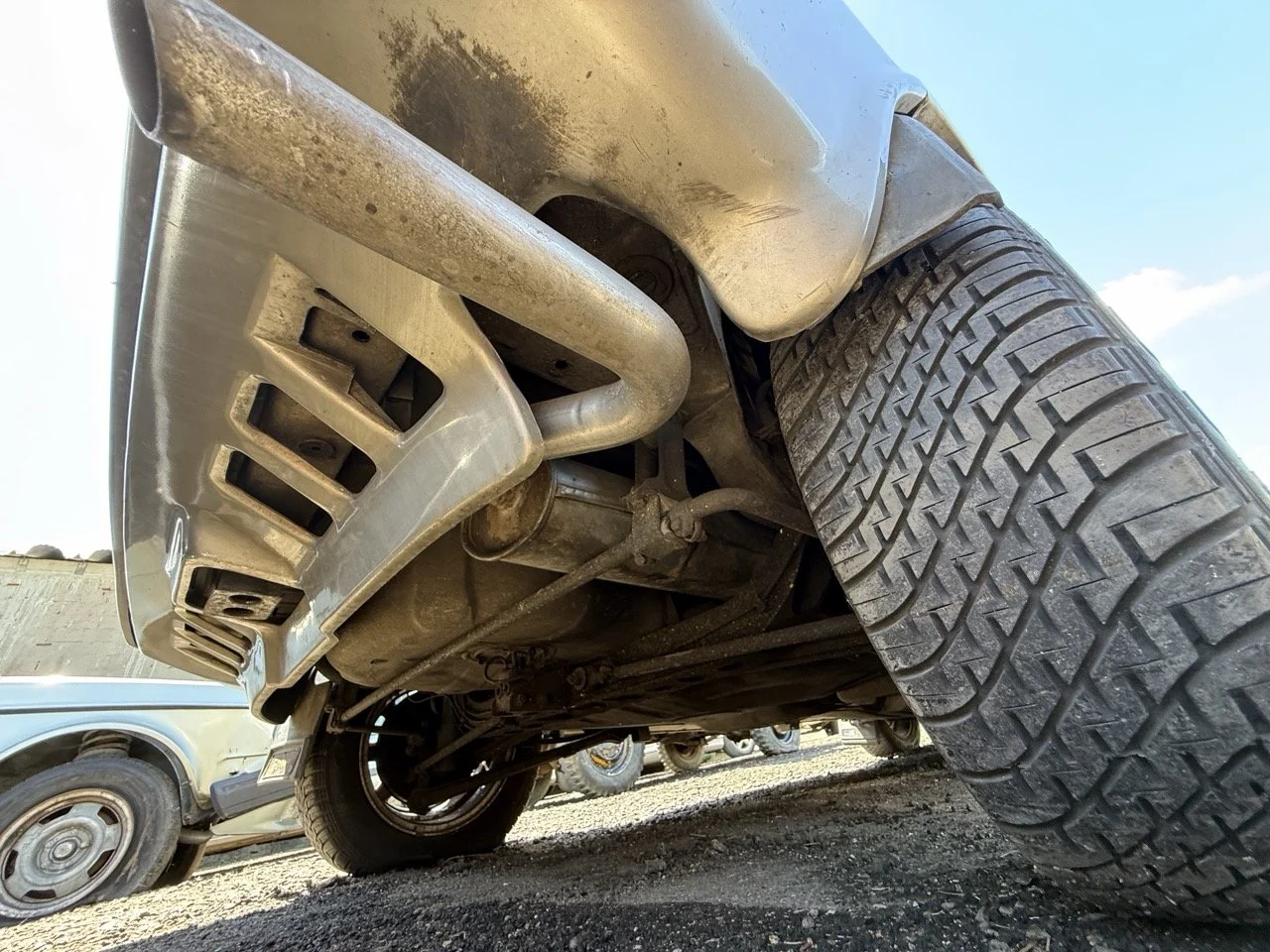 IMG_1956 – grande.jpeg