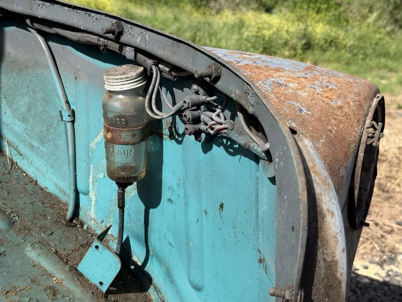 IMG_0303 – grande.jpeg